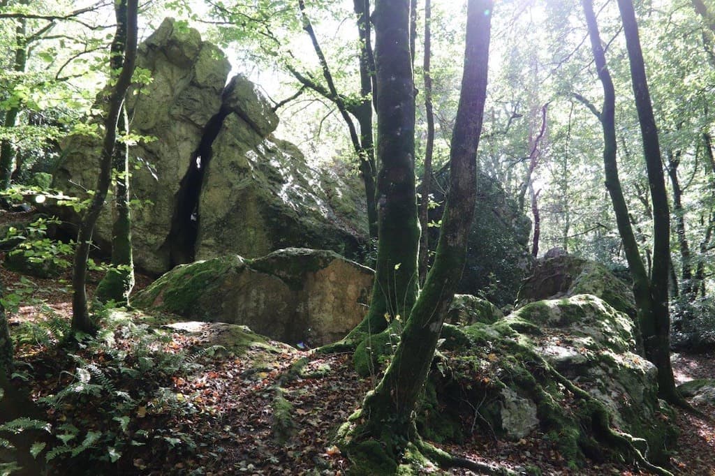 De initiatieplek in het Bois des Roques